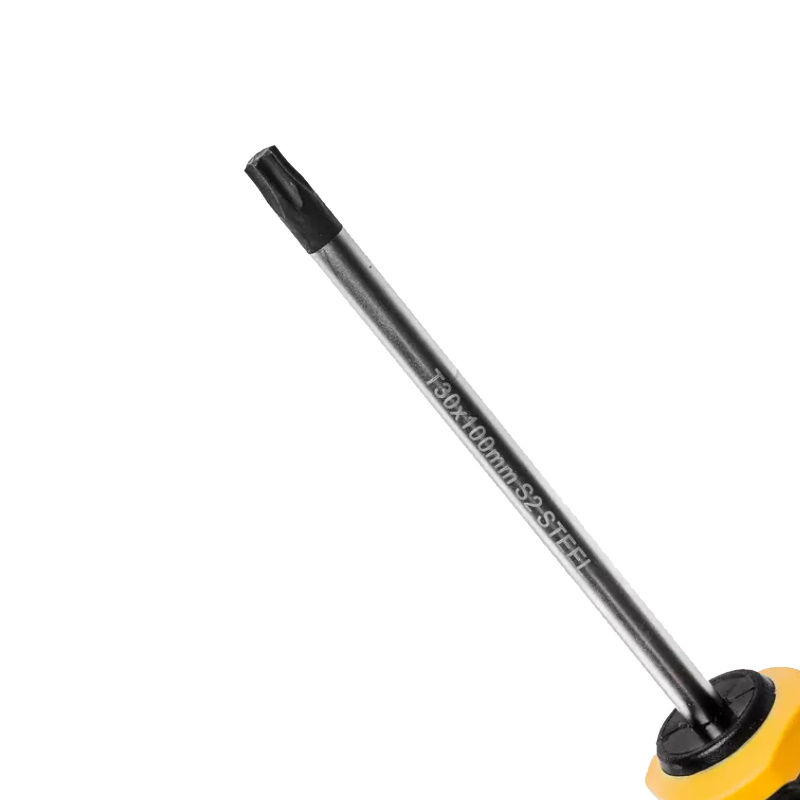 Отвертка Runtec RT-SD1T30x100, T30x100 мм, S2