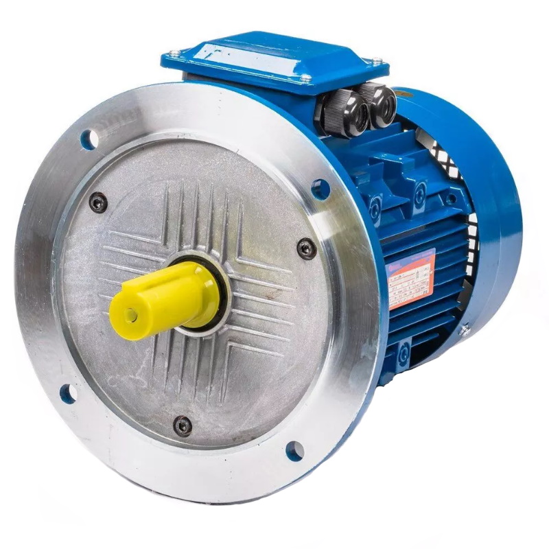 Электродвигатель 5АИ 100 L2 IM 3081 5.5/3000 01.01.213679, Китай в Кинешме