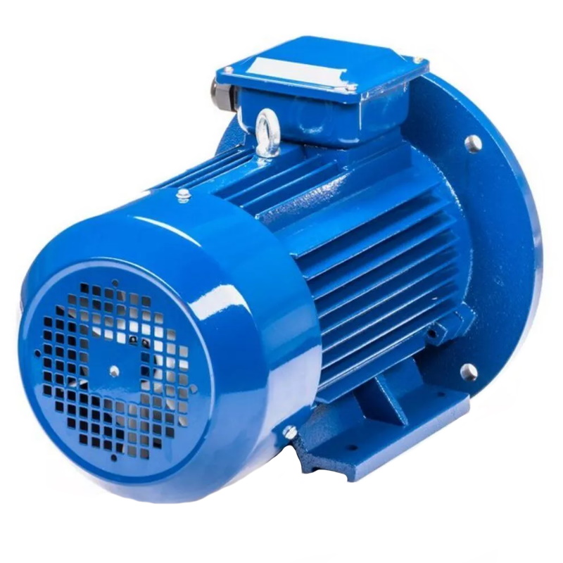 Электродвигатель 5АИ 100 L6 IM 2081 2.2/1000 01.01.213620, Китай в Кинешме