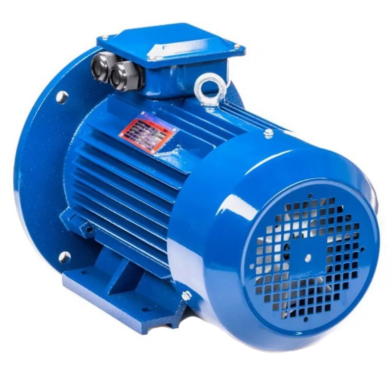 Электродвигатель 5АИ 100 L2 IM 2081 5.5/3000 01.01.213678 Китай