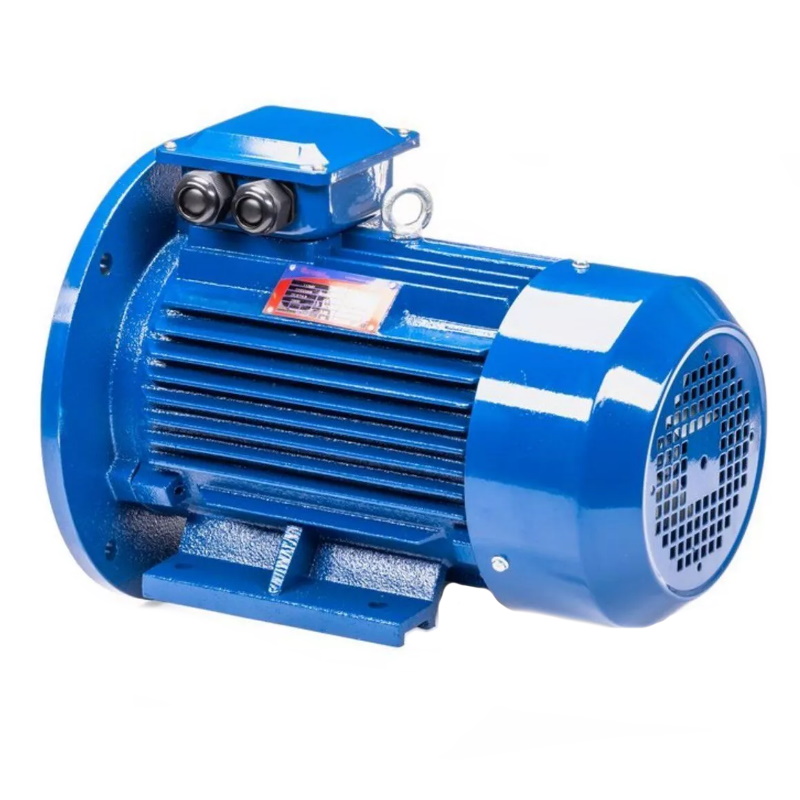 Электродвигатель 5АИ 100 L2 IM 2081 5.5/3000 01.01.213678 Китай