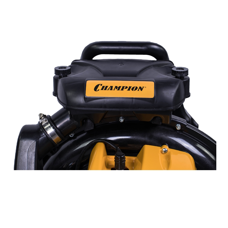 Воздуходувка Champion GBR376