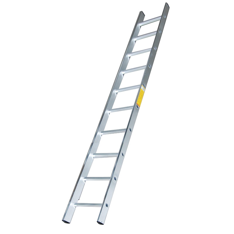 Лестница односекционная Энкор 69310 1х10 ступеней 4350₽