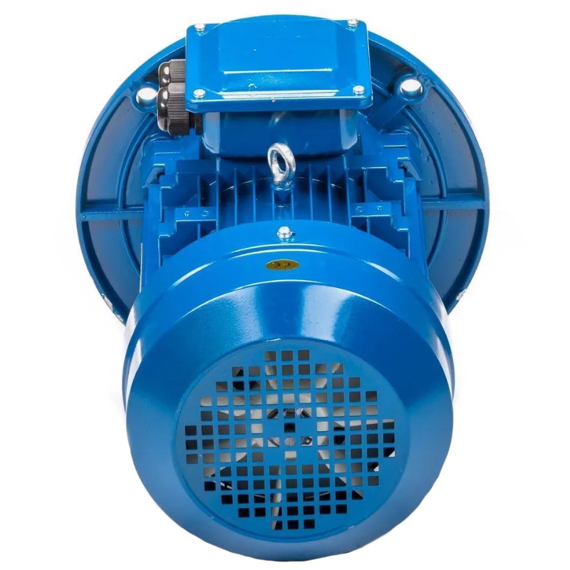 Электродвигатель 5АИ 100 L6 IM 3081 2.2/1000 01.01.213621, Китай в Иваново