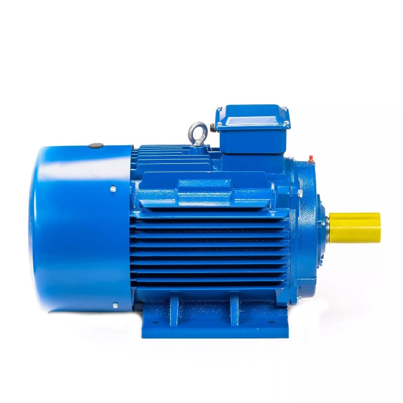 Электродвигатель 5АИ 200 L6 IM 1001 30/1000 01.01.213649, Китай в Переславле