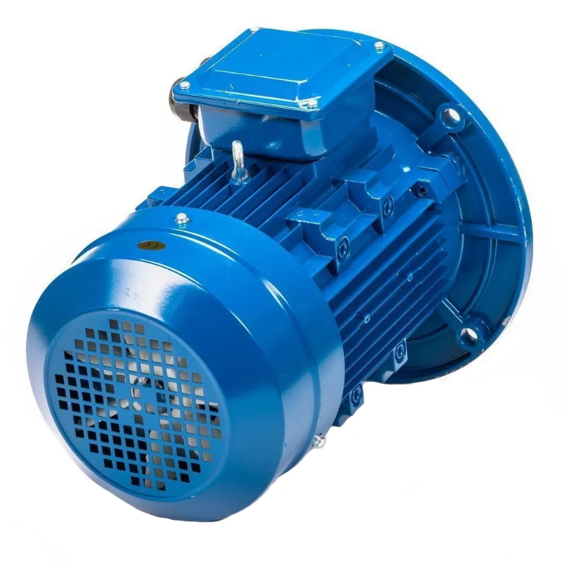 Электродвигатель 5АИ 100 L2 IM 3081 5.5/3000 01.01.213679, Китай в Кинешме