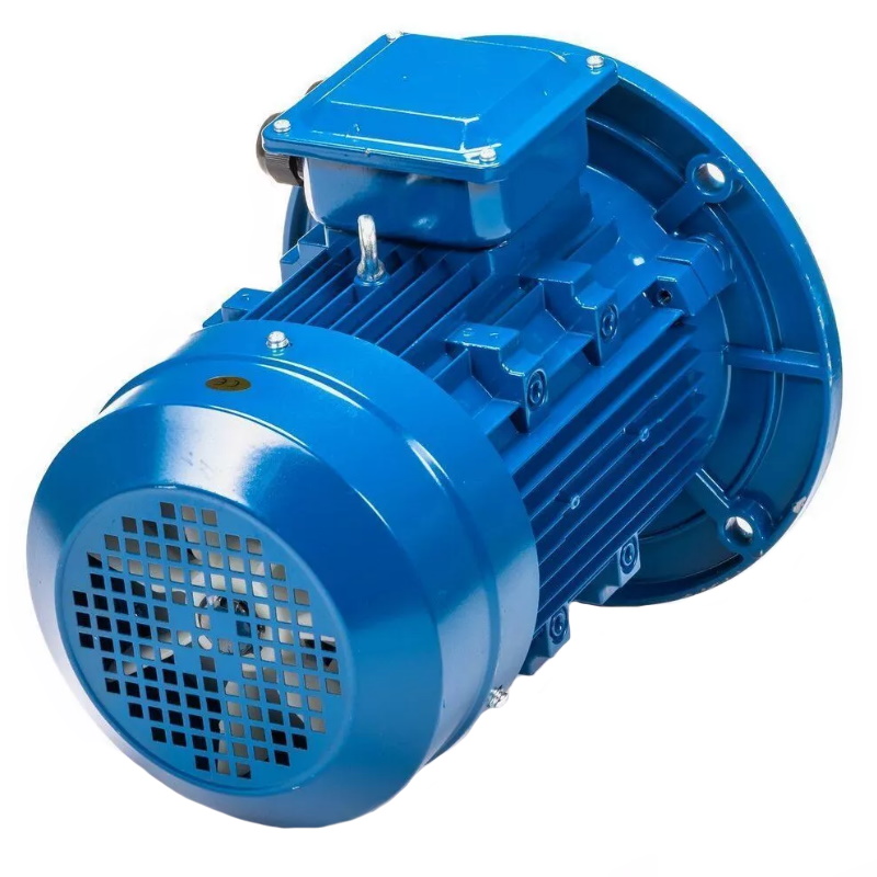 Электродвигатель 5АИ 100 L6 IM 3081 2.2/1000 01.01.213621, Китай в Иваново