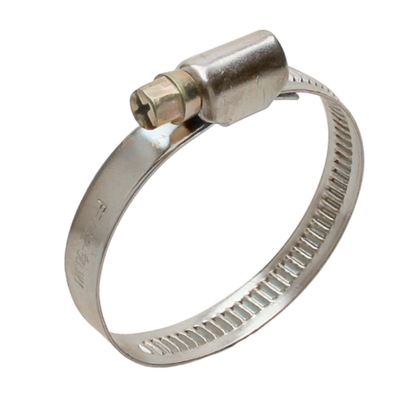 Хомут червячный Fortisflex PL-9 68959 (8-12)/W2 (упаковка100 шт) в Муроме