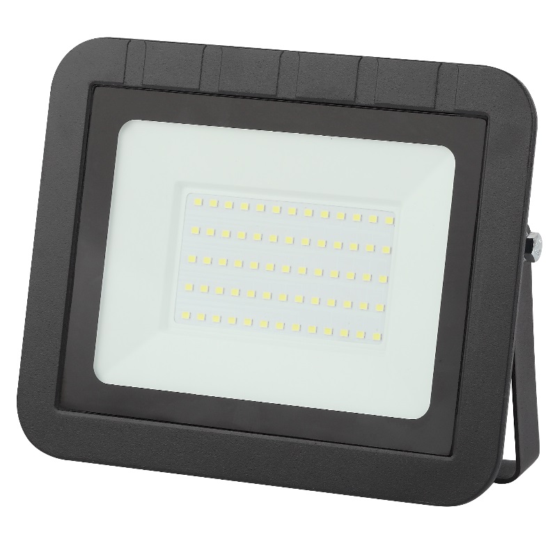 Прожектор светодиодный уличный Эра LPR-061-0-65K-050 1007₽