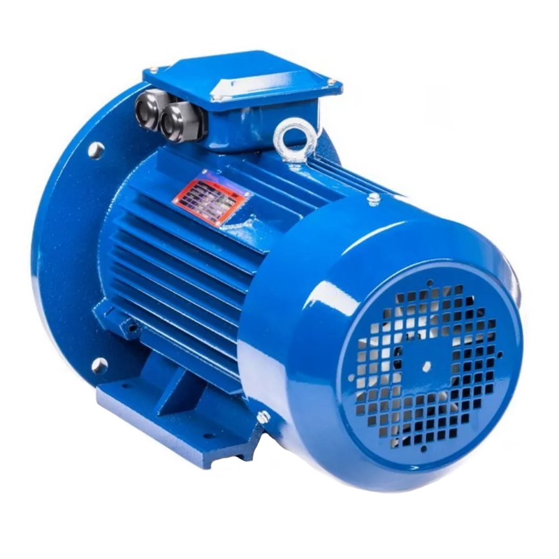 Электродвигатель 5АИ 100 L6 IM 2081 2.2/1000 01.01.213620, Китай в Кинешме