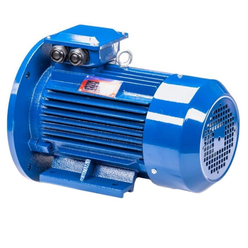 Электродвигатель 5АИ 100 L6 IM 2081 2.2/1000 01.01.213620, Китай в Кинешме