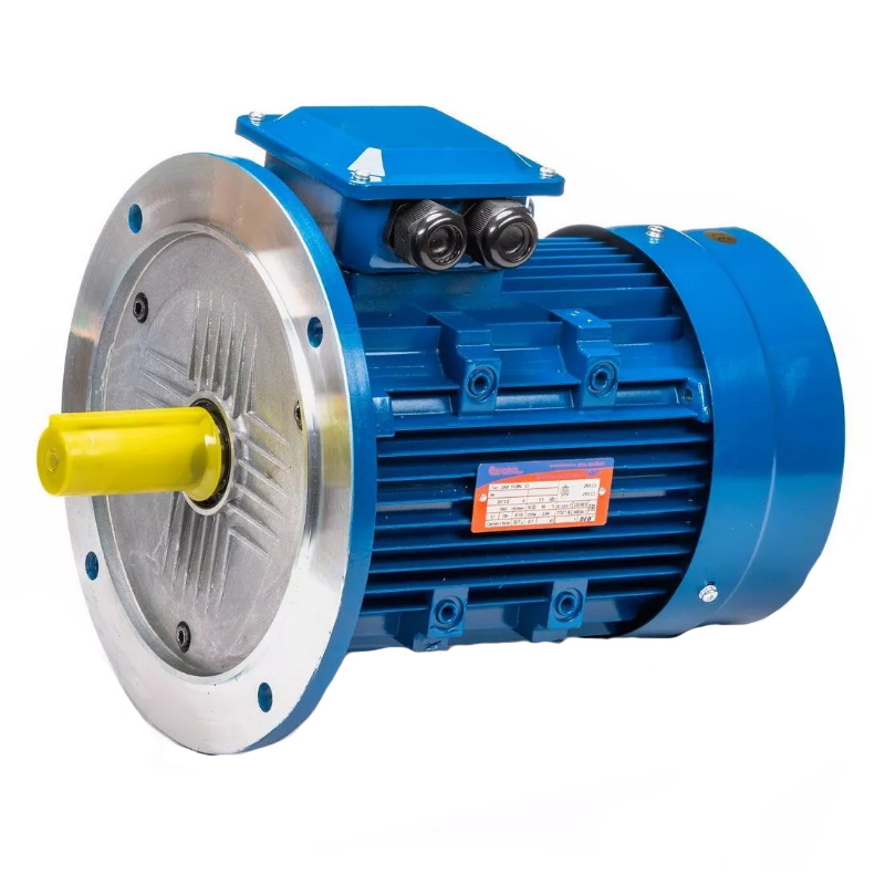 Электродвигатель 5АИ 100 L2 IM 3081 5.5/3000 01.01.213679, Китай в Кинешме