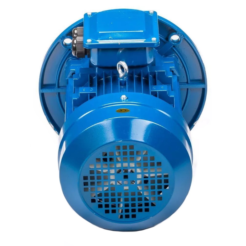 Электродвигатель 5АИ 100 L2 IM 3081 5.5/3000 01.01.213679, Китай в Кинешме