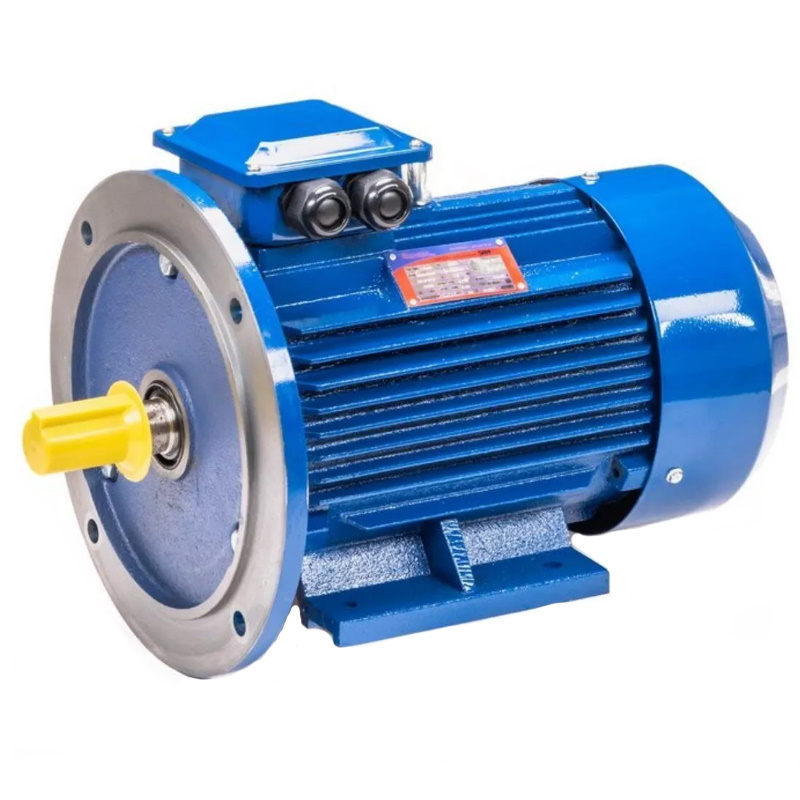 Электродвигатель 5АИ 100 L2 IM 2081 5.5/3000 01.01.213678 Китай