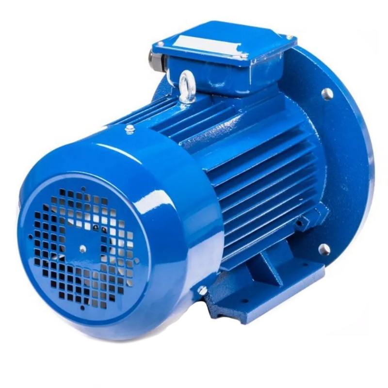 Электродвигатель 5АИ 100 L2 IM 2081 5.5/3000 01.01.213678 Китай