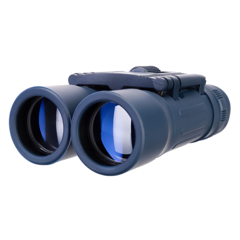 Бинокль Levenhuk Discovery Basics BB 79651, 10x25 в Костроме