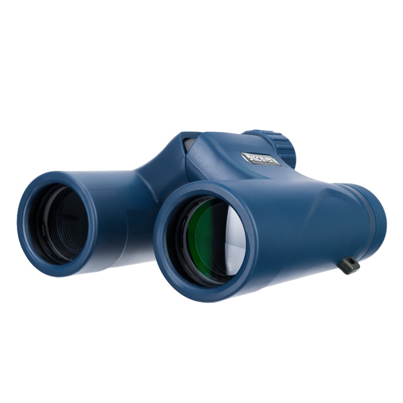 Бинокль Levenhuk Discovery Elbrus 10x25 79580 в Ярославле