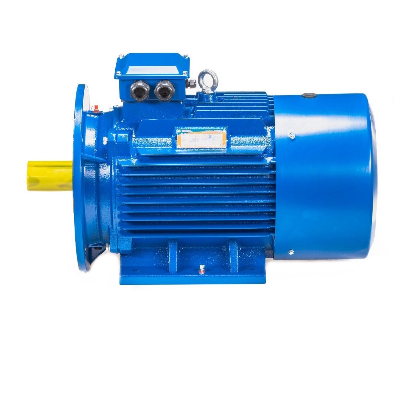 Электродвигатель 5АИ 200 L8 IM 2001 22/750 01.01.213654, Китай в Александрове