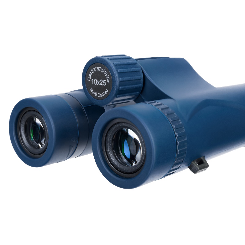 Бинокль Levenhuk Discovery Elbrus 10x25 79580 в Ярославле