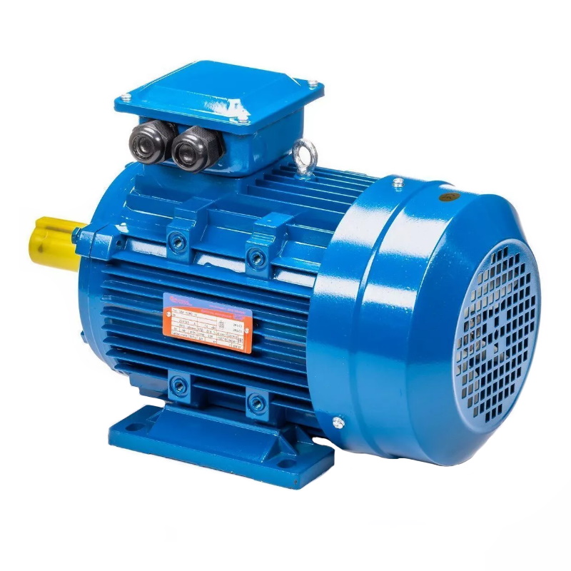 Электродвигатель 5АИ 100 L6 IM 1081 2.2/1000 01.01.213619, Китай в Александрове