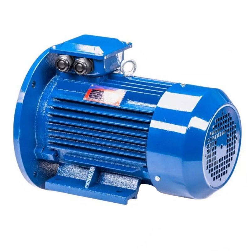 Электродвигатель 5АИ 100 L4 IM 2081 4/1500 01.01.213681, Китай