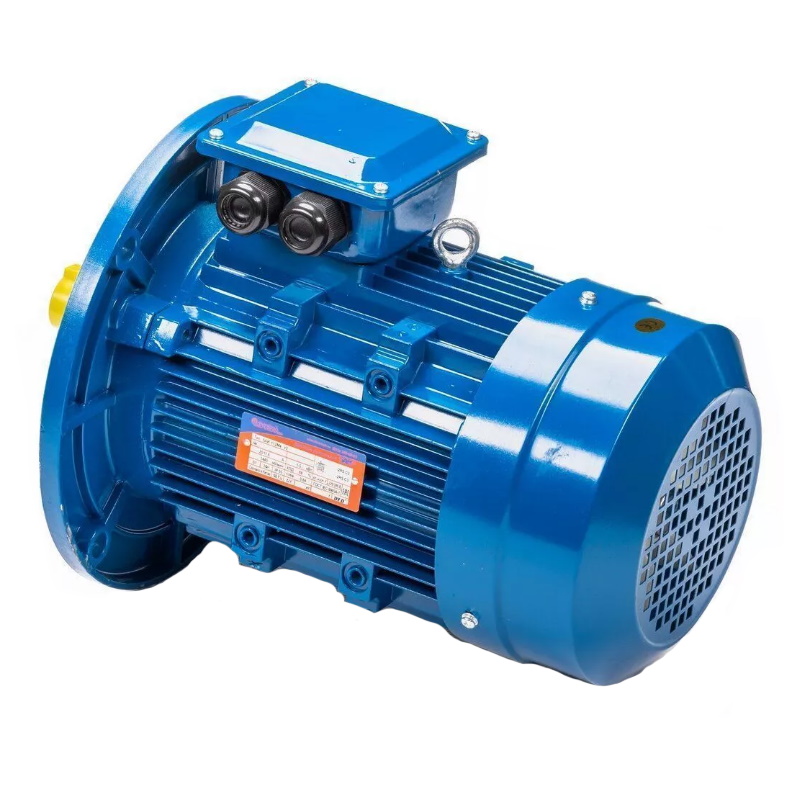 Электродвигатель 5АИ 100 L2 IM 3081 5.5/3000 01.01.213679, Китай в Кинешме