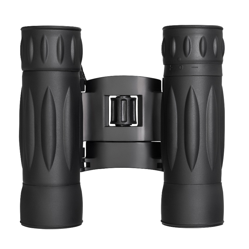 Бинокль Levenhuk Atom 67676, 10x25