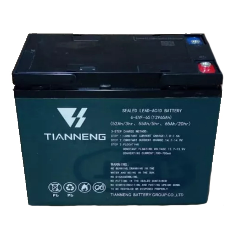 Аккумулятор TOR 1002565, свинцово-кислотный герм. (GEL), 12В/65Ач, 223х135х177, для тележек WPT15-2 в Муроме