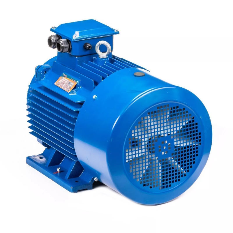Электродвигатель 5АИ 200 L6 IM 1001 30/1000 01.01.213649, Китай в Переславле