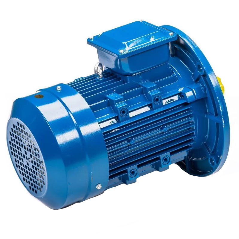 Электродвигатель 5АИ 100 L2 IM 3081 5.5/3000 01.01.213679, Китай в Кинешме