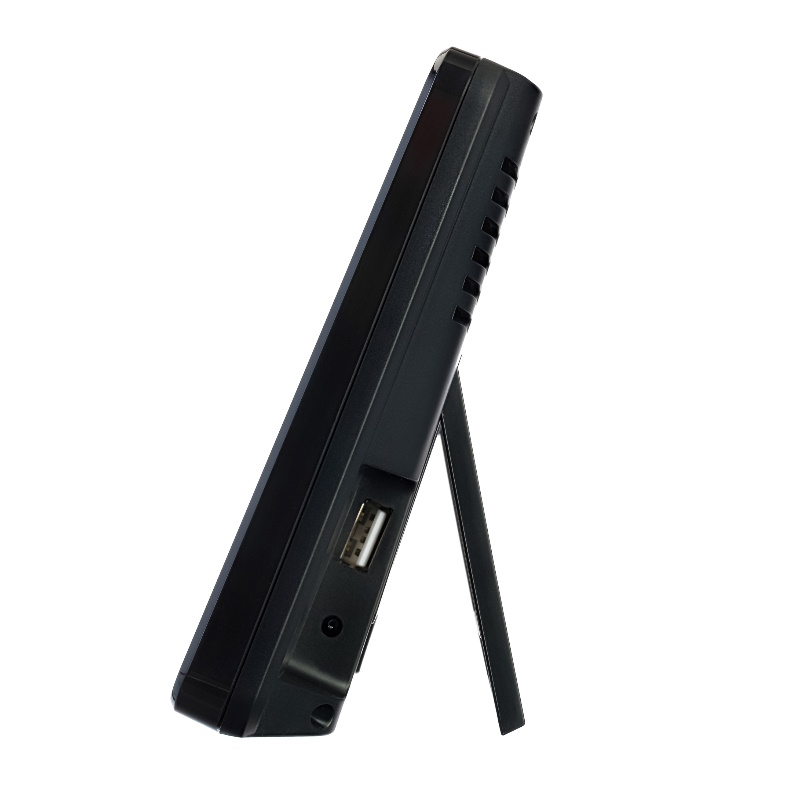 Метеостанция Levenhuk Wezzer PLUS LP80 78898