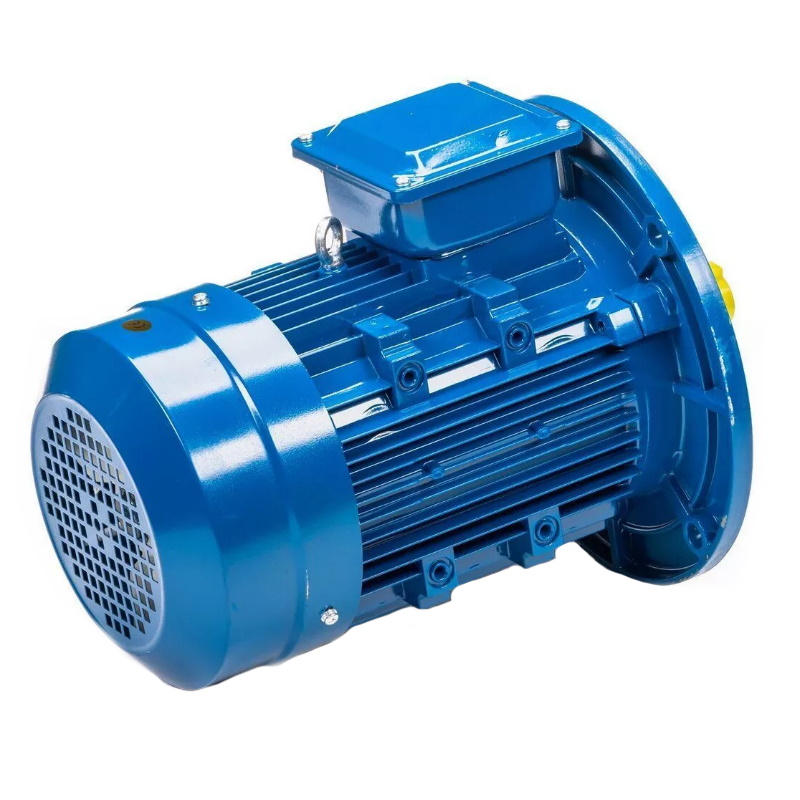 Электродвигатель 5АИ 100 L6 IM 3081 2.2/1000 01.01.213621, Китай в Иваново