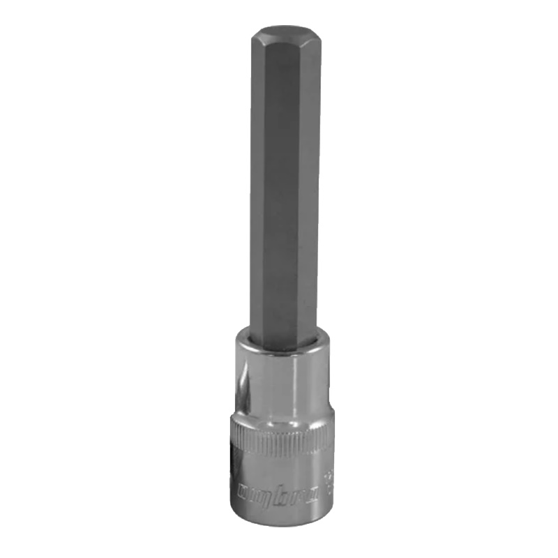 Насадка торцевая Ombra 121219 055740, 1/2"DR с вставкой-битой шестигранной, Н19, 100 мм в Иваново
