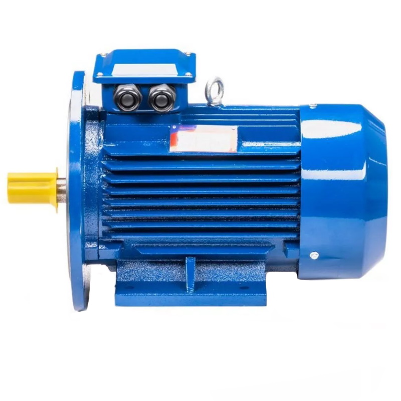 Электродвигатель 5АИ 100 L2 IM 2081 5.5/3000 01.01.213678 Китай