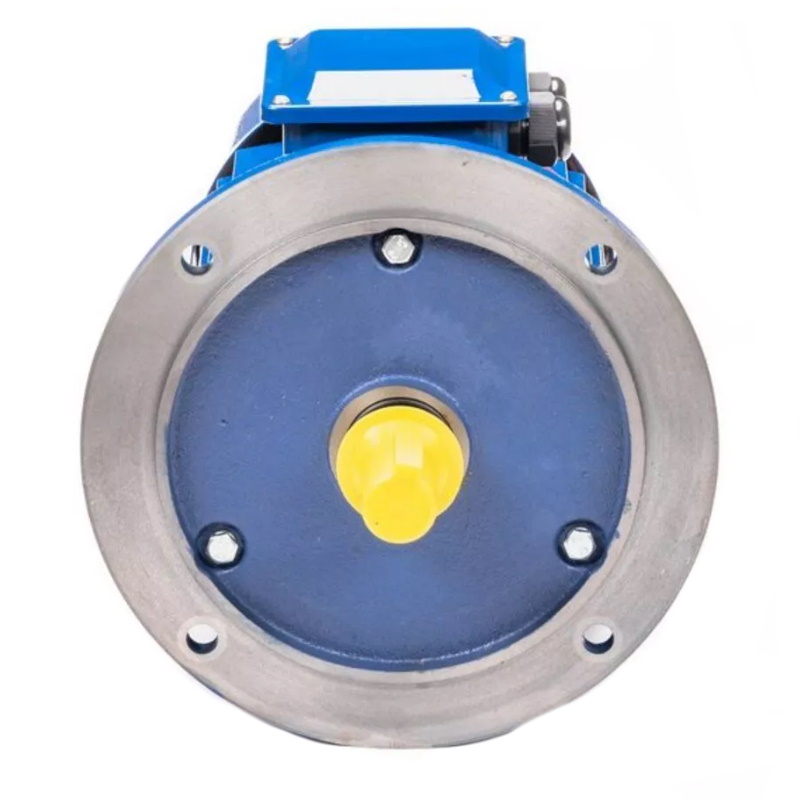 Электродвигатель 5АИ 100 L2 IM 2081 5.5/3000 01.01.213678 Китай