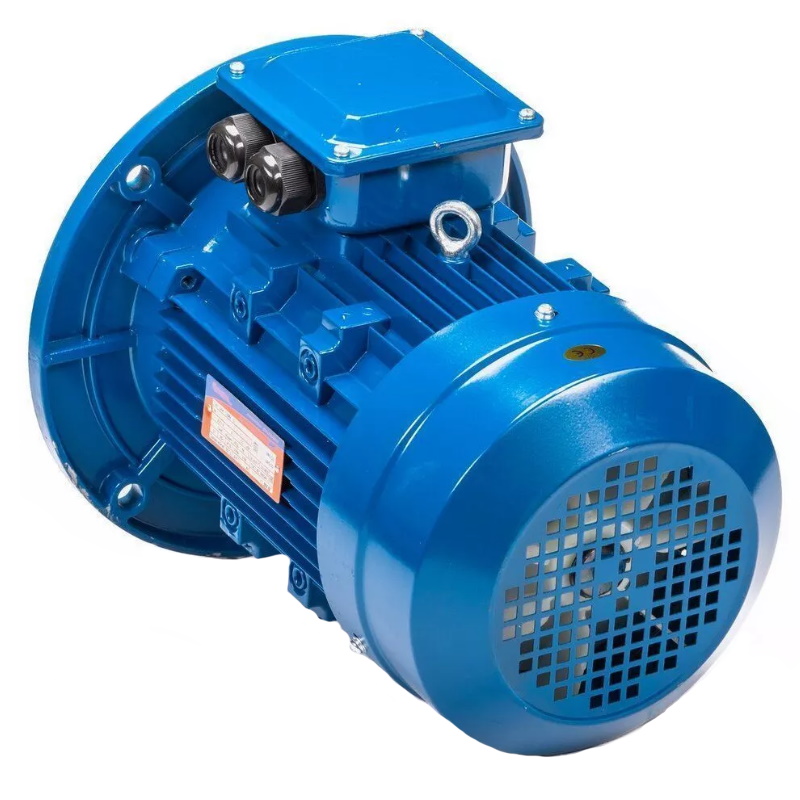 Электродвигатель 5АИ 100 L2 IM 3081 5.5/3000 01.01.213679, Китай в Кинешме