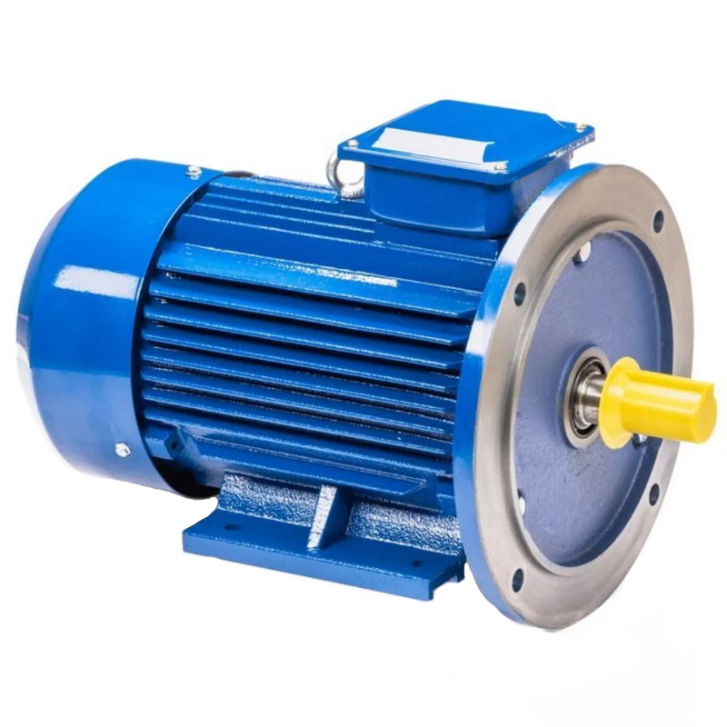 Электродвигатель 5АИ 100 L2 IM 2081 5.5/3000 01.01.213678 Китай