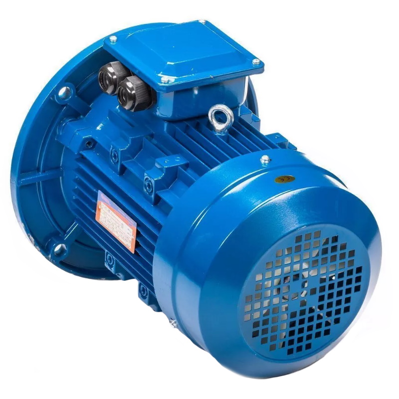 Электродвигатель 5АИ 100 L6 IM 3081 2.2/1000 01.01.213621, Китай в Иваново