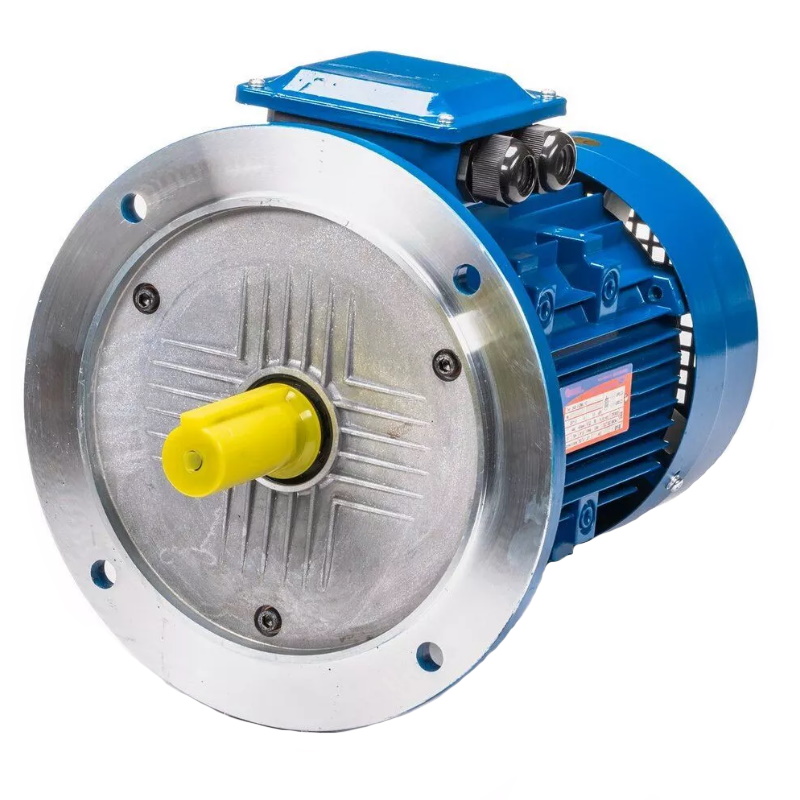 Электродвигатель 5АИ 100 L6 IM 3081 2.2/1000 01.01.213621, Китай в Иваново