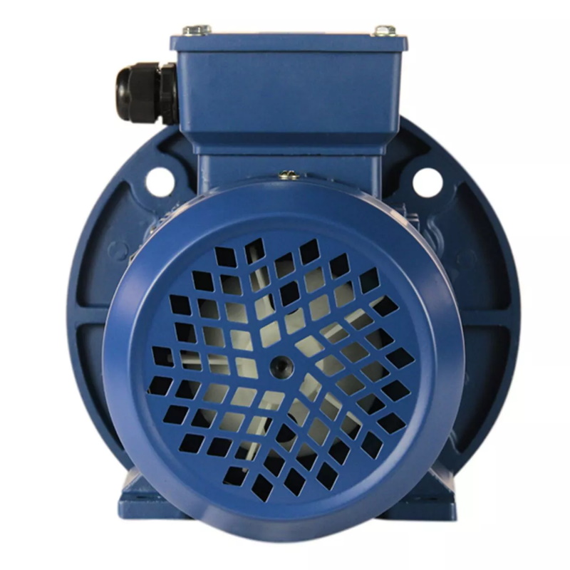 Электродвигатель 5АИ 90 L2 FT115 3/3000 IM 2181 01.01.221508, Китай в Иваново
