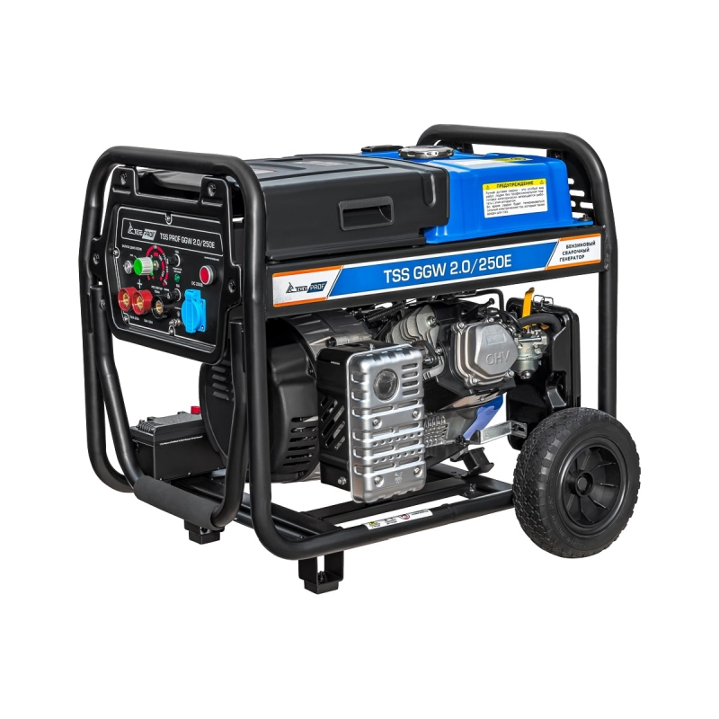 Сварочный генератор TSS PROF GGW 2.0/250E, 45622 в Иваново