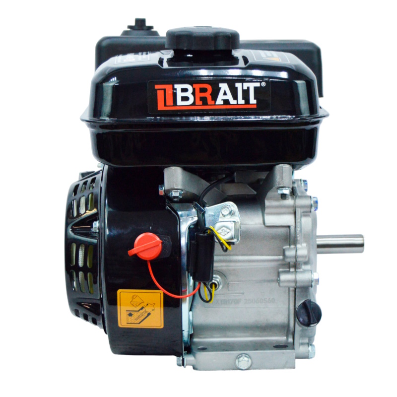 Двигатель бензиновый Brait GE720 03.01.289.095, 7л.с., шкив 20мм, длина вала 53мм в Ярославле