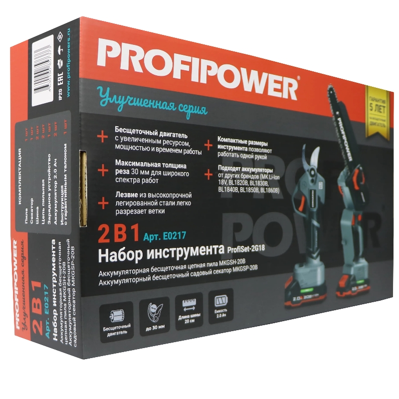Аккумуляторный бесщеточный ProfiPower ProfiSet-2G20 E0217, НАБОР 2в1 (Li-ion-2шт 20В, 2.0Ач, З/У, в кейсе, E0099, E0216) в Угличе