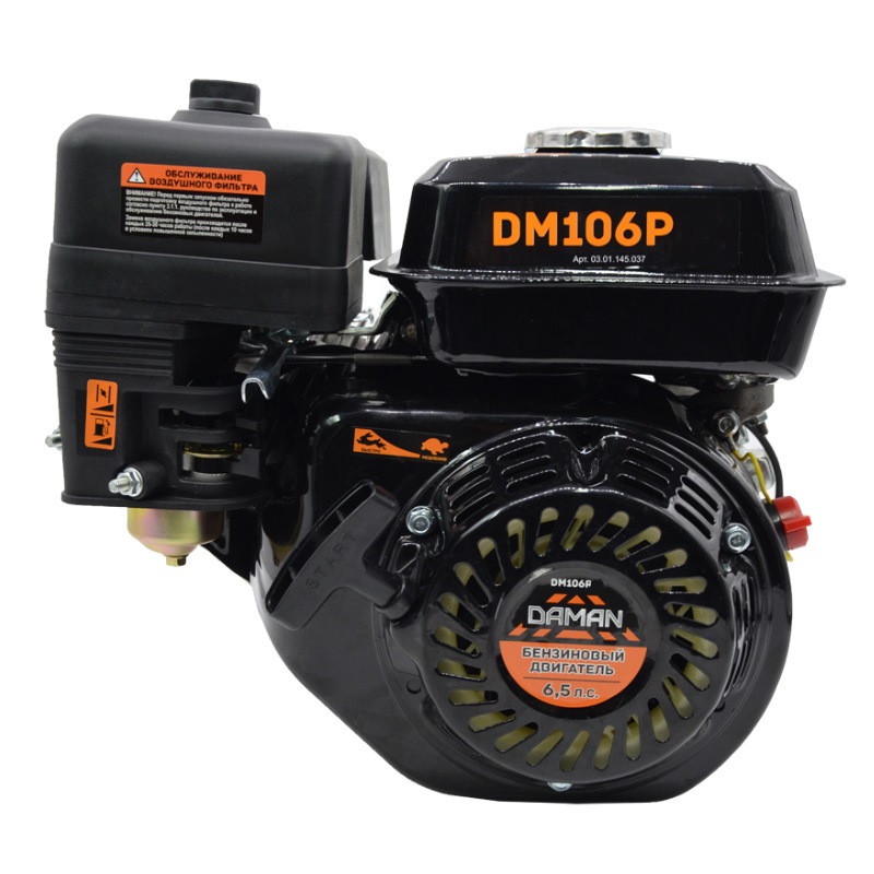 Двигатель бензиновый Daman DM106P19 03.01.145.037 в Иваново