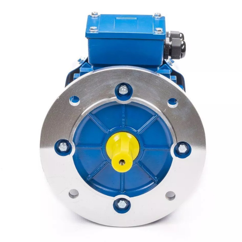 Электродвигатель 5АИ 90 L2 3/3000 IM 3081 01.01.216439, Китай в Рыбинске