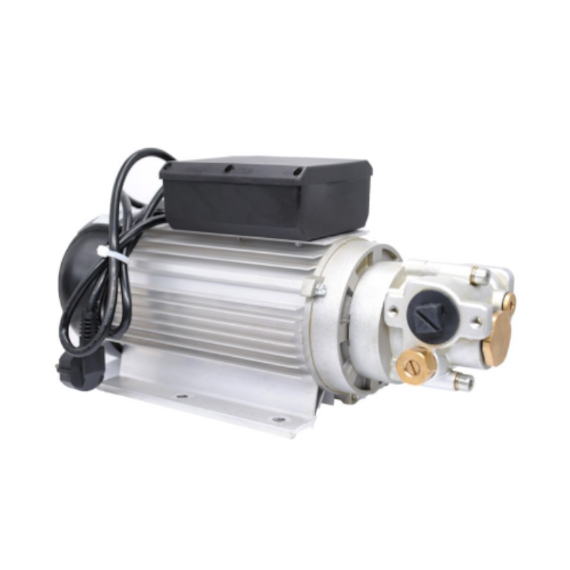 Электрический насос Petropump OILP01 PP220602, для масла 220В, 15 л/мин в Рыбинске