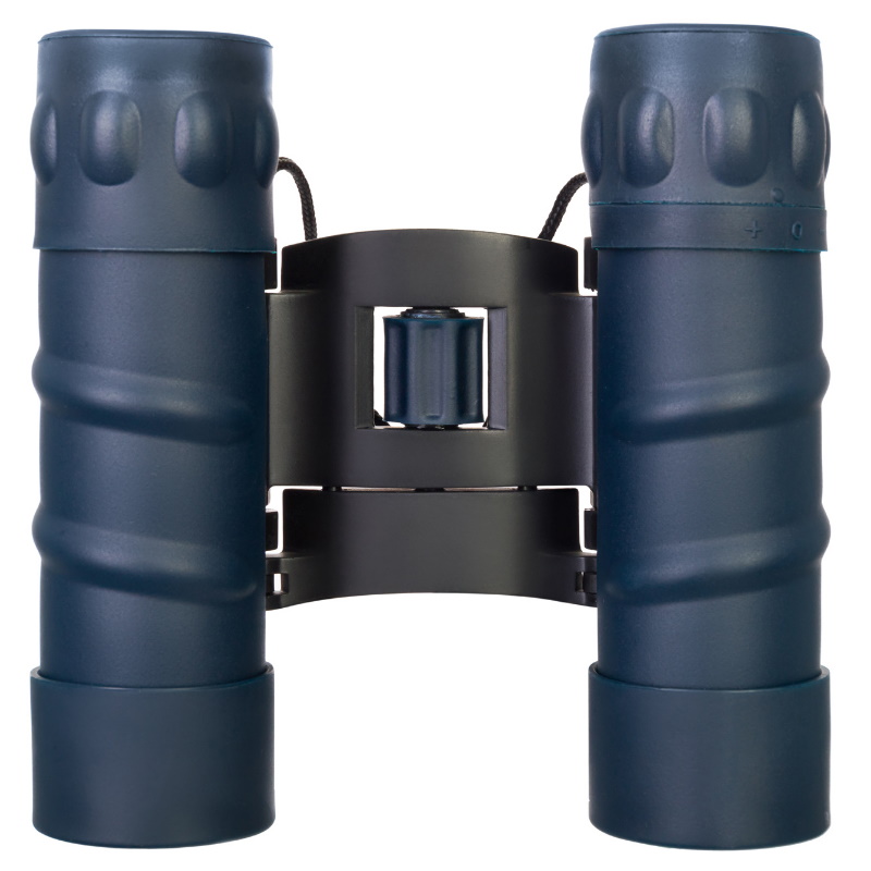 Бинокль Levenhuk Discovery Gator 77909, 10x25 в Ярославле