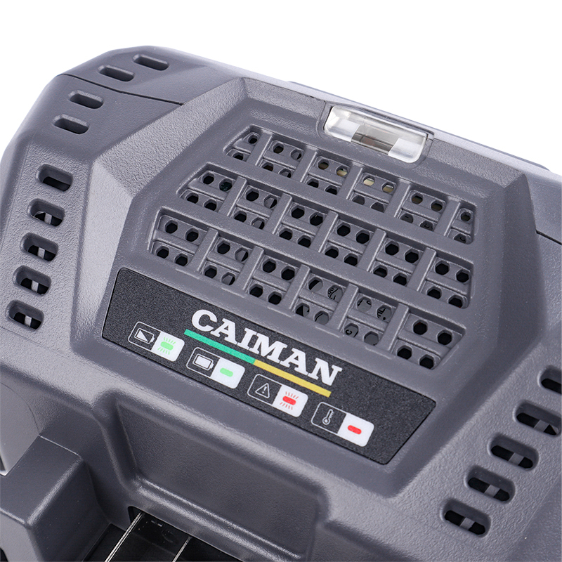 Зарядное устройство Caiman ENO C6055 для батарей 4-8Ah, быстрое в Иваново