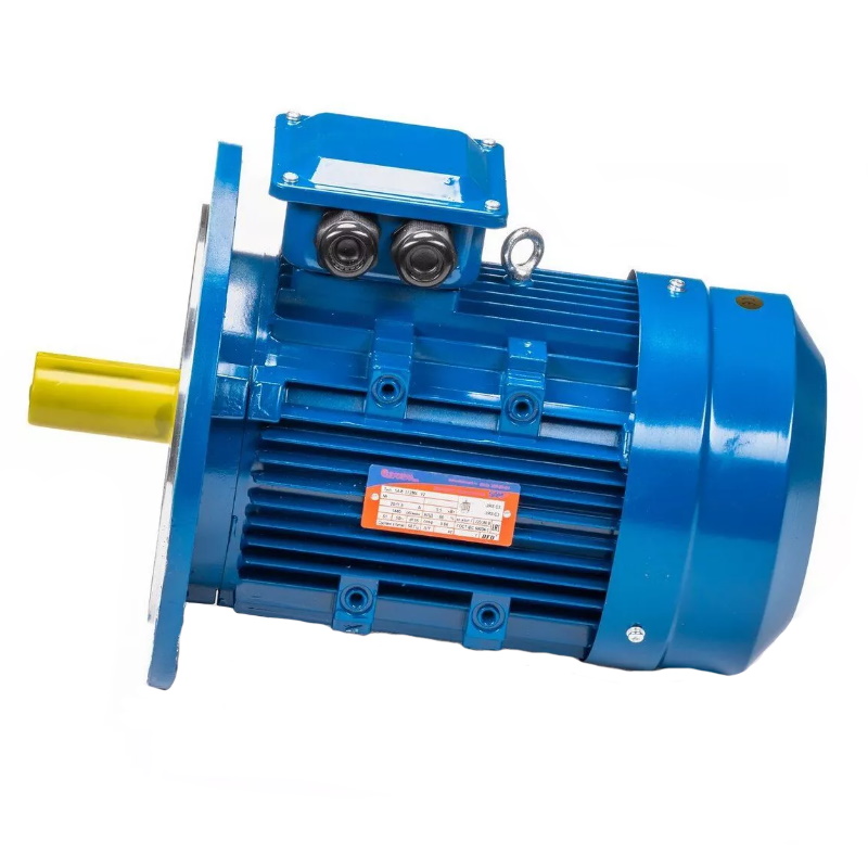 Электродвигатель 5АИ 100 L2 IM 3081 5.5/3000 01.01.213679, Китай в Кинешме