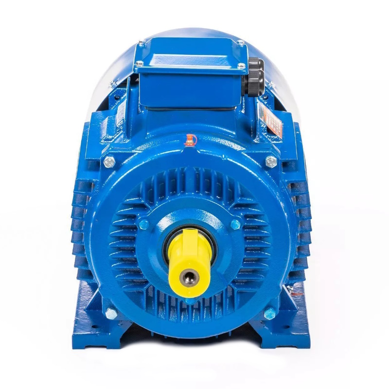 Электродвигатель 5АИ 200 L6 IM 1001 30/1000 01.01.213649, Китай в Переславле